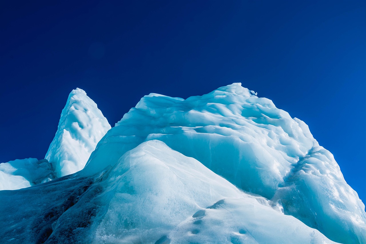 百纵科技实名账号：外套直播购买平台