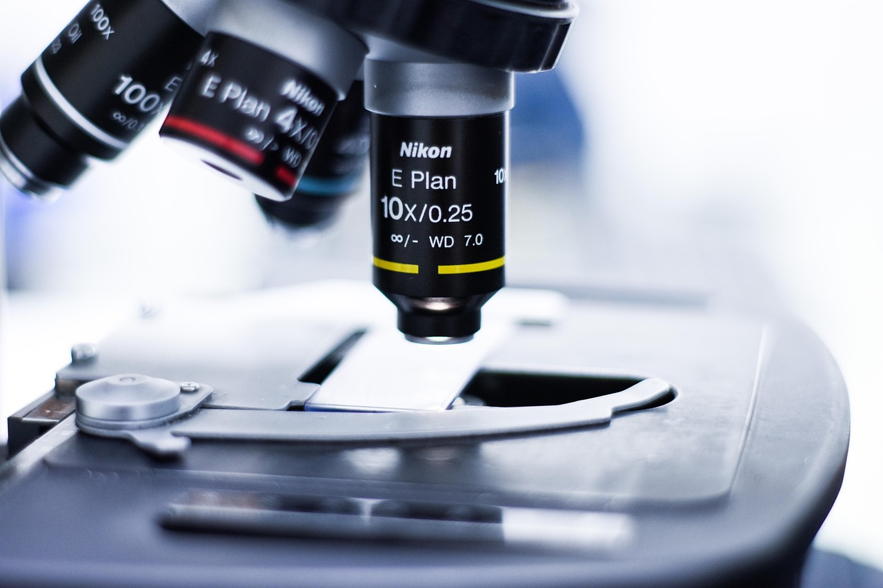 技术支持辅助如何刻意营造出一种游戏环境和文化