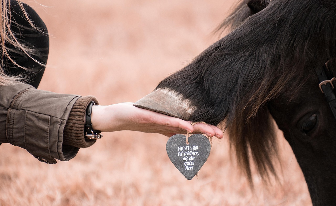 如何有效阻止SEO异常恶性软件 