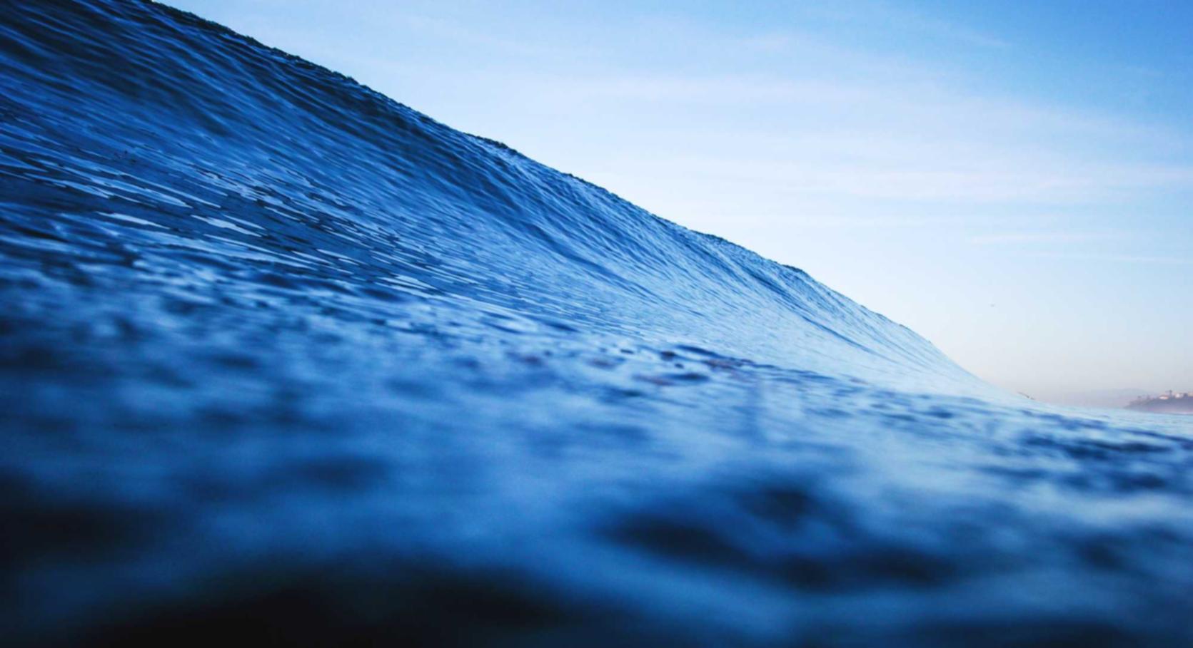 阿里山中支大华黄金眼爆珠：金山云爱居账号注册